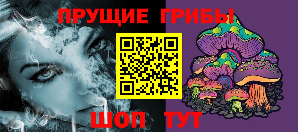 Псилоцибиновые грибы мицелий Новоалександровск